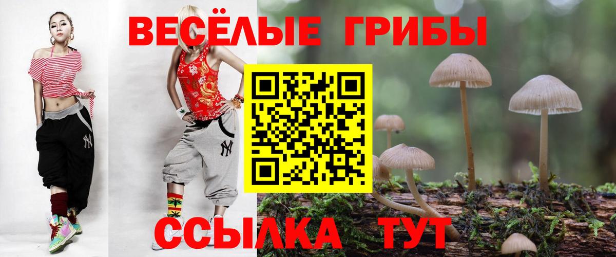 Кириши  Псилоцибиновые грибы ЛСД  Вход с VPN  Галлюциногенные грибы Psilocybe 